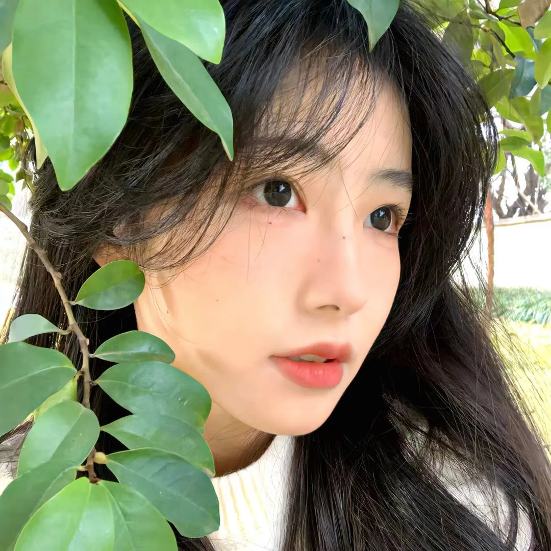 热播剧集